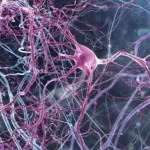 Forscher machen DNA-Schäden rückgängig